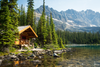 off grid living