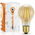 Gold Tint 12V-36V 6W A19 A60 LED Filament Edison Classic Light Bulb