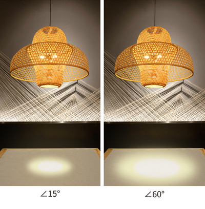 Adjustable Light Beam PAR16 PAR20 LED Spot Light Bulb 15°-60° Multi Angle Lamp i 12W