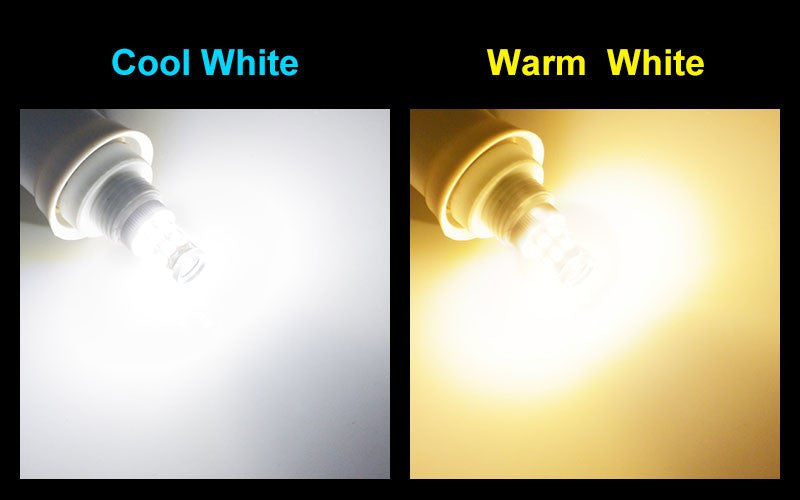 12V-24V LED Lamp