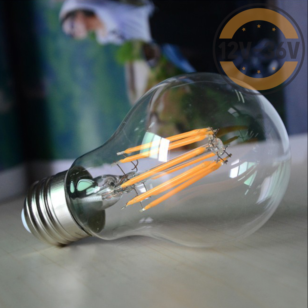 12v edison screw bulb outlet