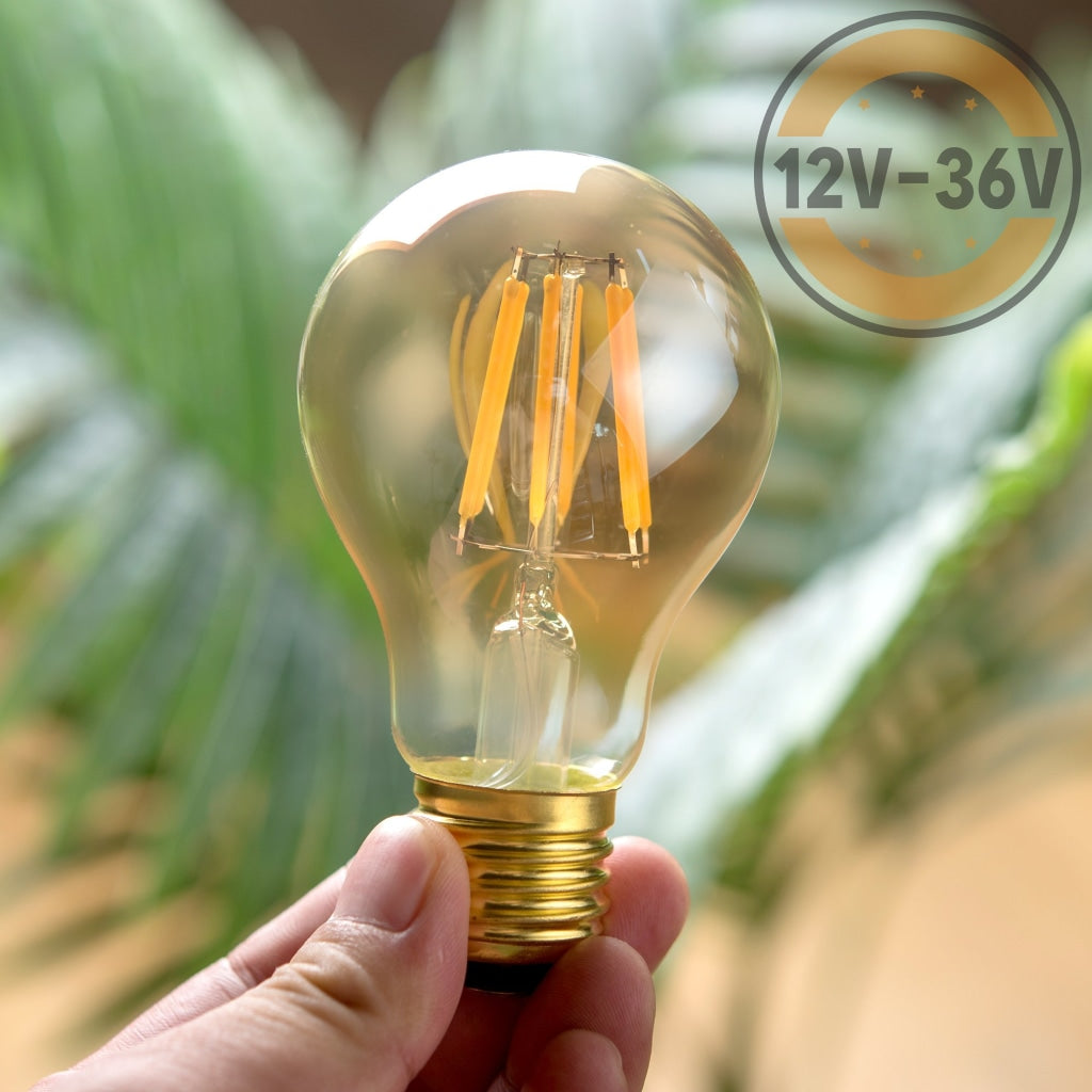 Snavset tønde Tom Audreath DC 12V-36V 6W A19 A60 LED Filament Vintage Light Bulb Steampunk RV -  12VMonster Lighting