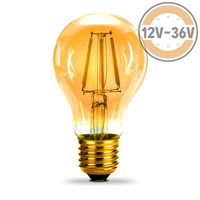 Gold Tint 12V-36V 6W A19 A60 Led Filament Edison Classic Light Bulb Light Bulb